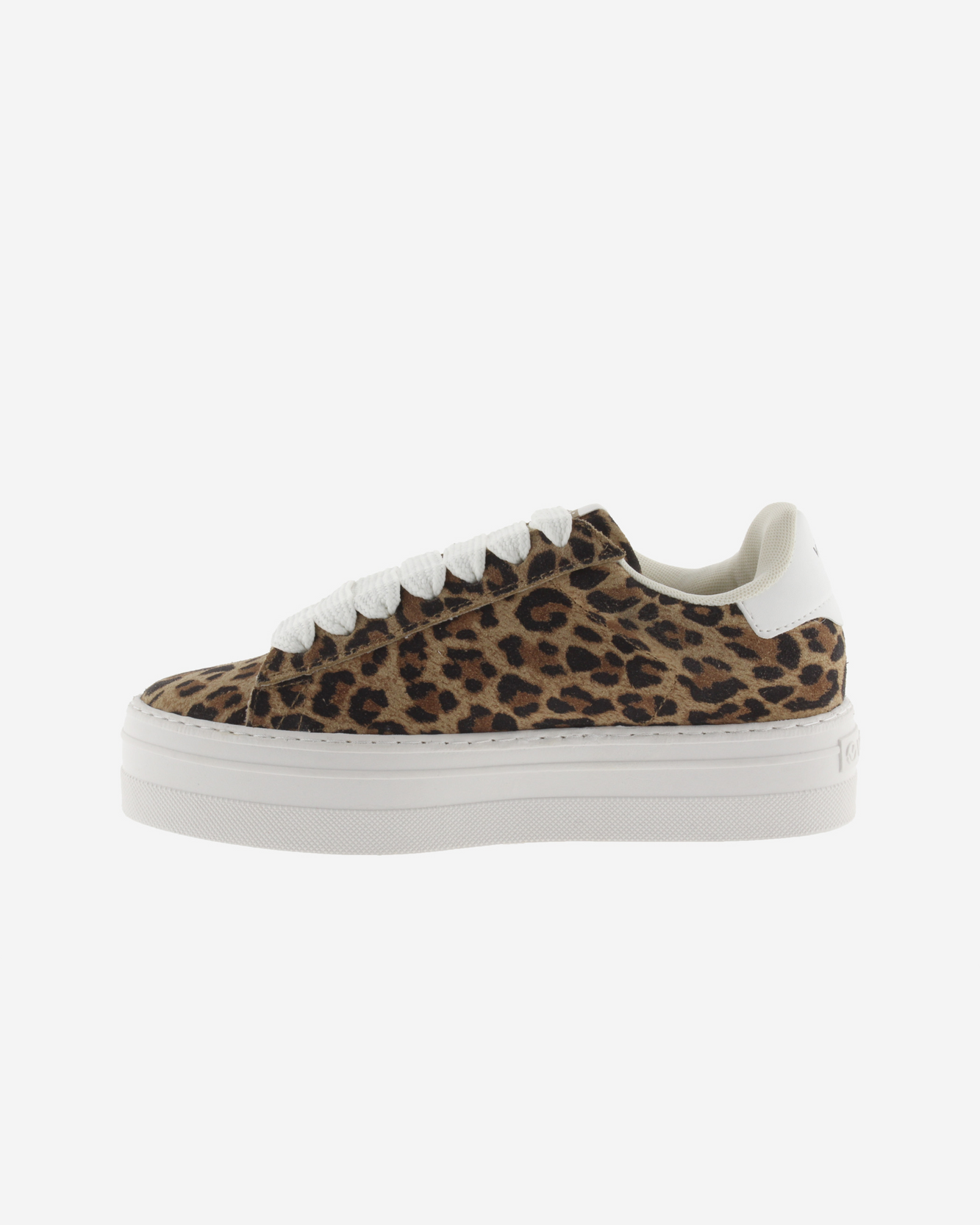 Barcelona leopardo